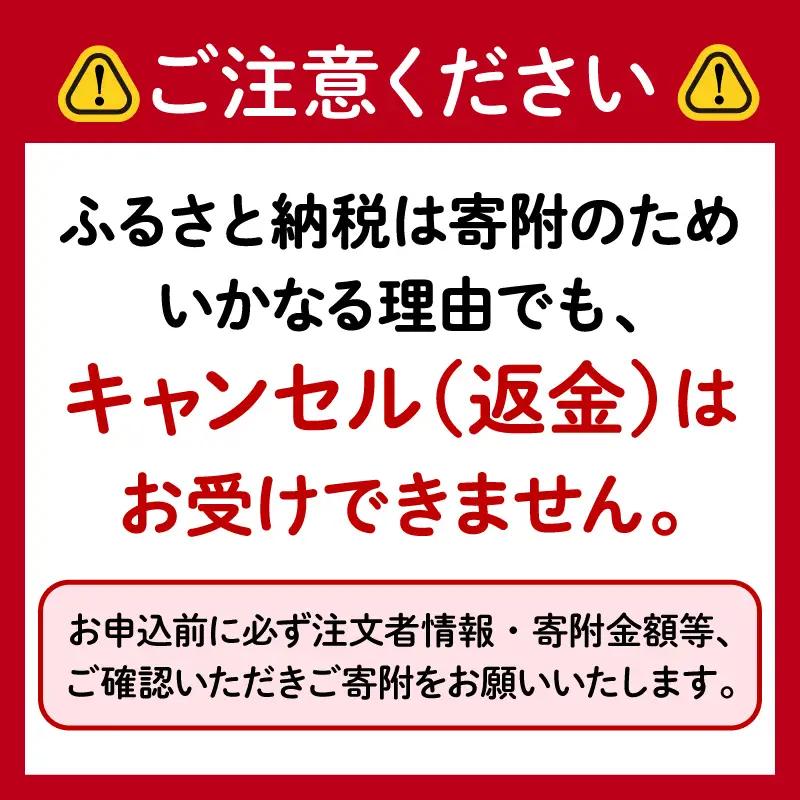 すっきりレモンサワーの素 1000ml 6本 サワー