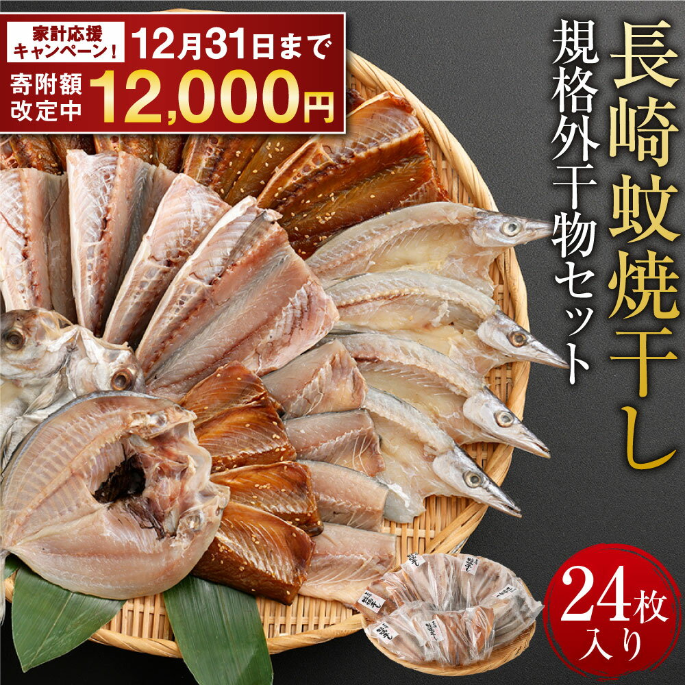 【ふるさと納税】【期間限定！～12月31日まで寄附額改定中】長崎蚊焼干し 計24枚 入り 規格外 干物 セット | 訳あり ワケアリ サイズ 不揃い 小さめ あじ さば かます ひらあじ ご飯のお供 魚介 海の幸 蚊焼干し 秘伝のねかせダレ 長崎市 12000円 1万2000円