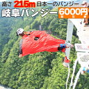 【ふるさと納税】 日本一 バンジージャンプ 高さ215m 体験割引チケット 6,000円分 岐阜バンジー y66-209