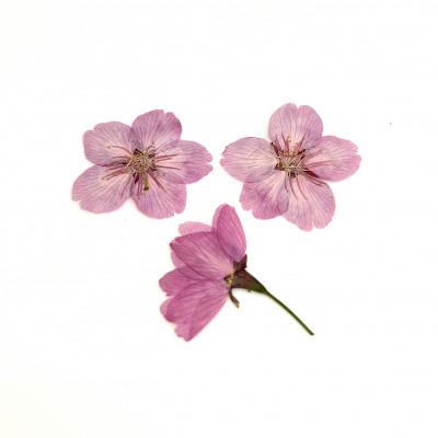 ふるさと納税 長岡京市 桜のモチーフ×天然石ブレスレット |  | 03