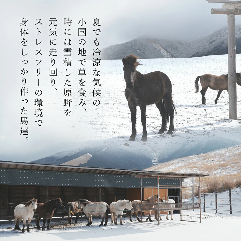 【阿蘇牧場】小国馬 馬刺し3種 霜降り 赤身 大トロ トロ 300g（専用醤油付き 150ml×1本）