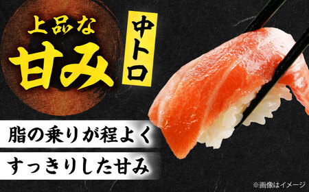 【全12回定期便】たね熟天然本まぐろ中トロ(960g)[AOCE039]マグロ