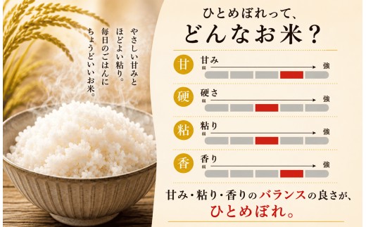 米 5kg 【12ヶ月 定期便 】 岩手 ひとめぼれ 令和8年産 白米 岩手ふるさと米 5kg 小分け 袋 ｜ お米 コメ 5キロ 災害 備蓄 防災セット 非常食 白飯 ごはん 炊飯 レトルト カレー