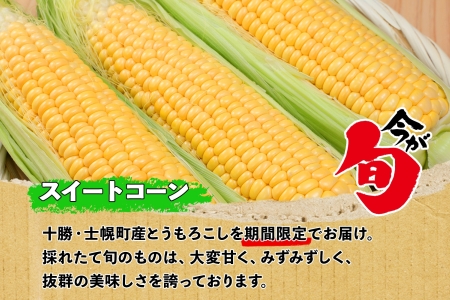 《期間限定》北海道 士幌産  とうもろこし  12本  (2025年8月上旬〜発送開始予定) 約5kg スイートコーン 採れたて コーン 期間限定 新鮮 野菜 産地直送 産直 お取り寄せ 送料無料 十