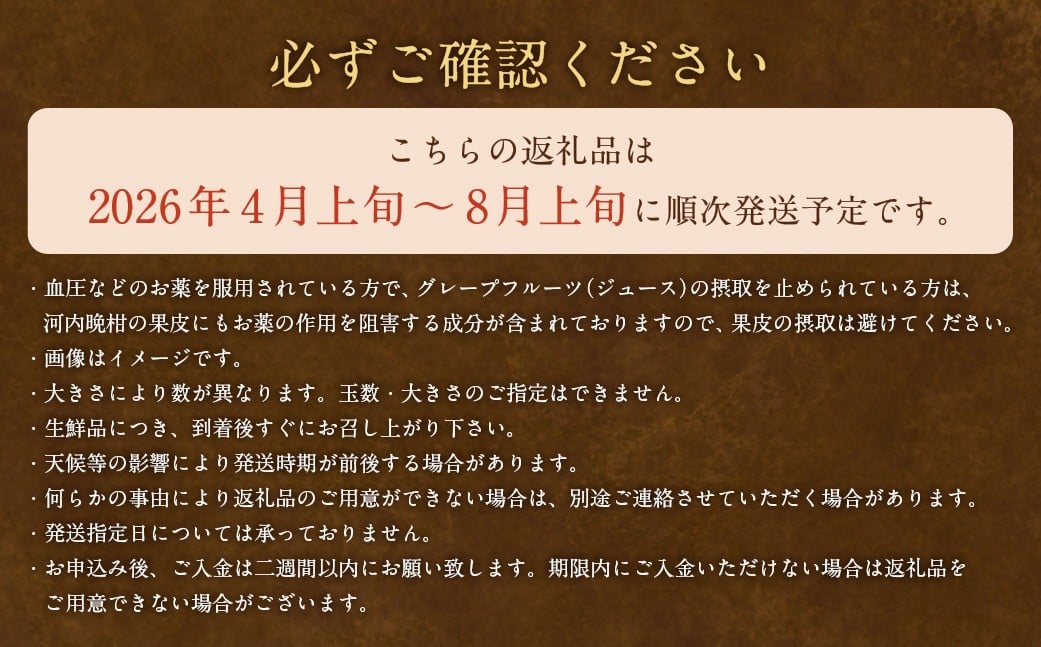 贈答用 河内晩柑 10kg