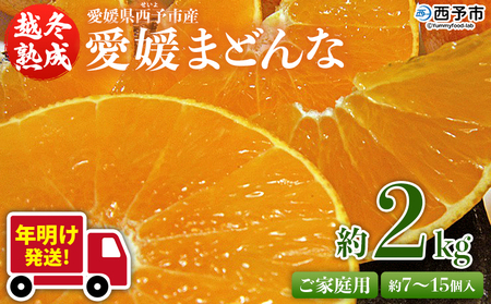 【年明け発送】紅まどんなと同品種！＜愛媛県西予市産 越冬熟成 愛媛まどんな ご家庭用 約2kg＞ 訳あり みかん 蜜柑 ミカン 柑橘 果物 フルーツ 愛媛果試第28号 期間限定 マドンナ 愛媛マドンナ 宇都宮物産【常温】『2026年1月上旬～1月下旬迄に順次出荷予定』UUB0066