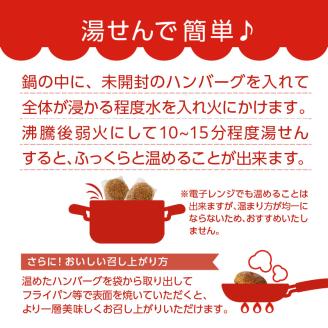 ジョージハンバーグ5個セット　3種（サワヤカ・スタミナ・ショーガ）のソース付