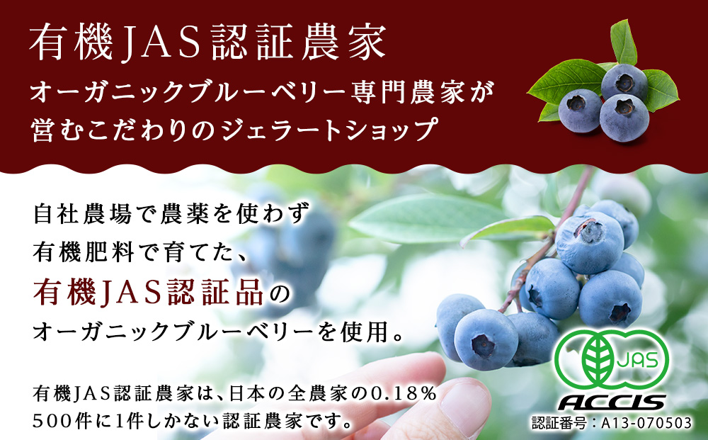 アイス ギフト おすすめ 6種 各2個 12個 詰め合わせ セット ジェラート 【ミルティーロ】
