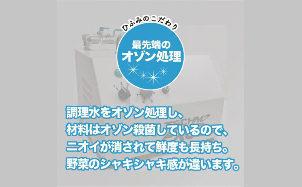 【全6回定期便】《具材付》長崎冷凍皿うどん (4食) 具材付き 簡単調理  麺 麺類 揚麺