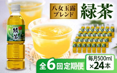【全6回定期便】八女 玉露入り 緑茶 500ml × 24本  糸島市 / スターナイン お茶 ペットボトル [ARM016]