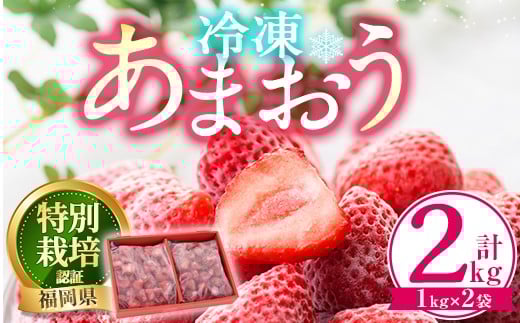 【期間限定】冷凍あまおう(計2kg・1kg×2袋) いちご イチゴ 苺 あまおう 冷凍いちご 冷凍イチゴ 国産 福岡県 特別栽培 果物 フルーツ アイス シャーベット ジャム スムージー 冷凍フルーツ ＜離島配送不可＞【ksg0438】【うるう農園】