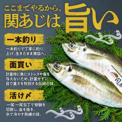 ふるさと納税 大分市 関あじ(鮮魚セット)2尾_E04023 |  | 01