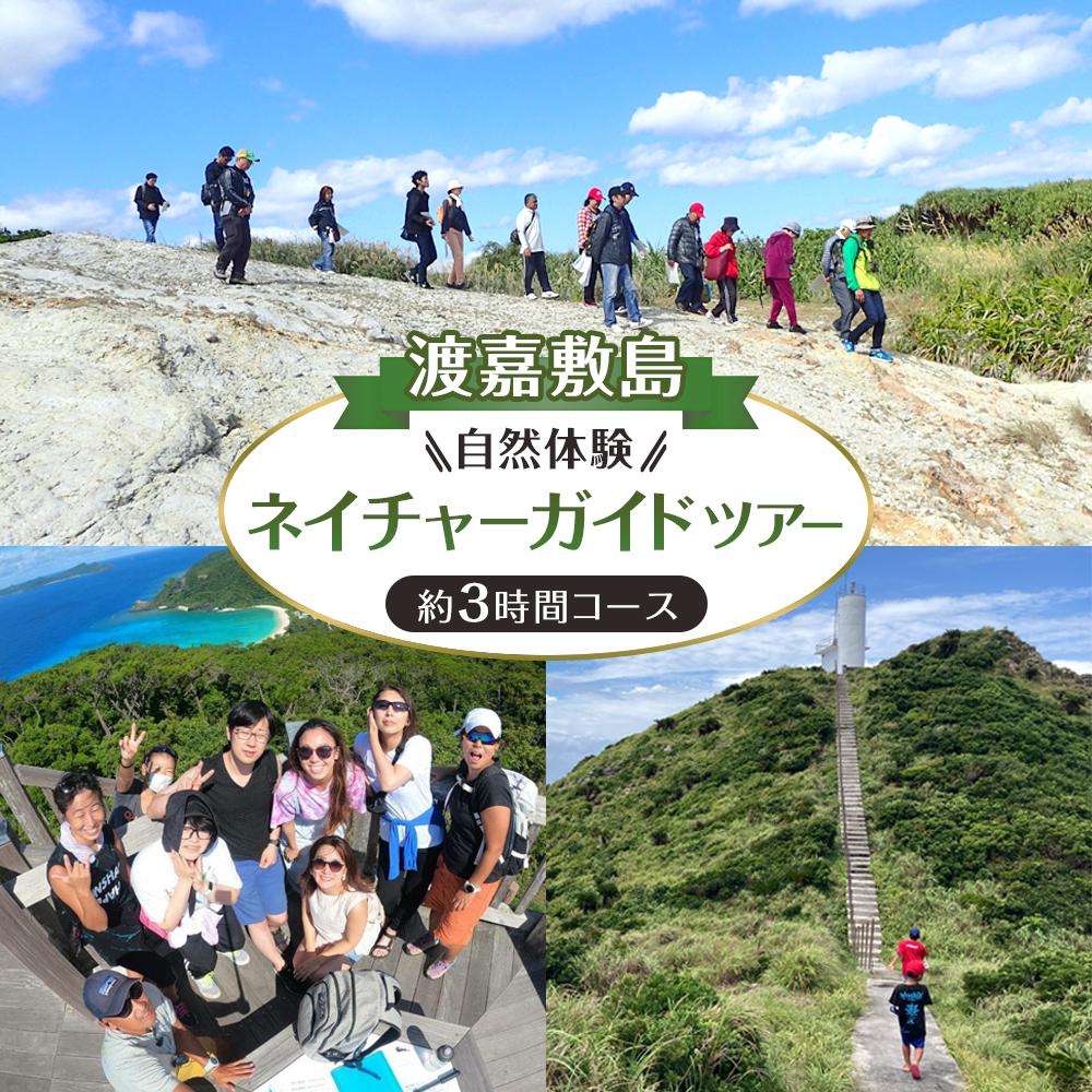 【ふるさと納税】自然体験 ネイチャーガイドツアー（ハイキング）渡嘉敷島・約3時間コース