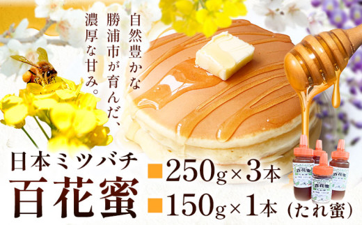 勝浦 日本 ミツバチ 百花蜜 たれ蜜 250g×3本 150g×1本 鈴木茂《8月上旬-12月末頃出荷》千葉県 勝浦市 ミツバチ 百花蜜 たれ蜜