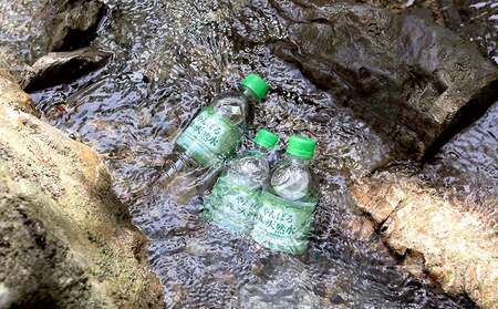 定期便3回   東村の軟水【やんばる 森の天然水】　2L×6本