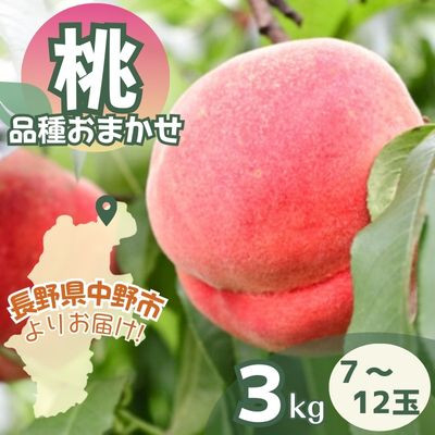 
            桃 品種おまかせ 3kg【1511058】
          
