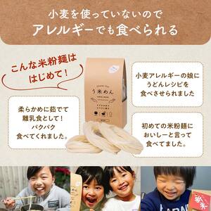 【3か月定期便】グルテンフリー 米粉で作った麺「う米めん」30食入り×3回 F21T-456