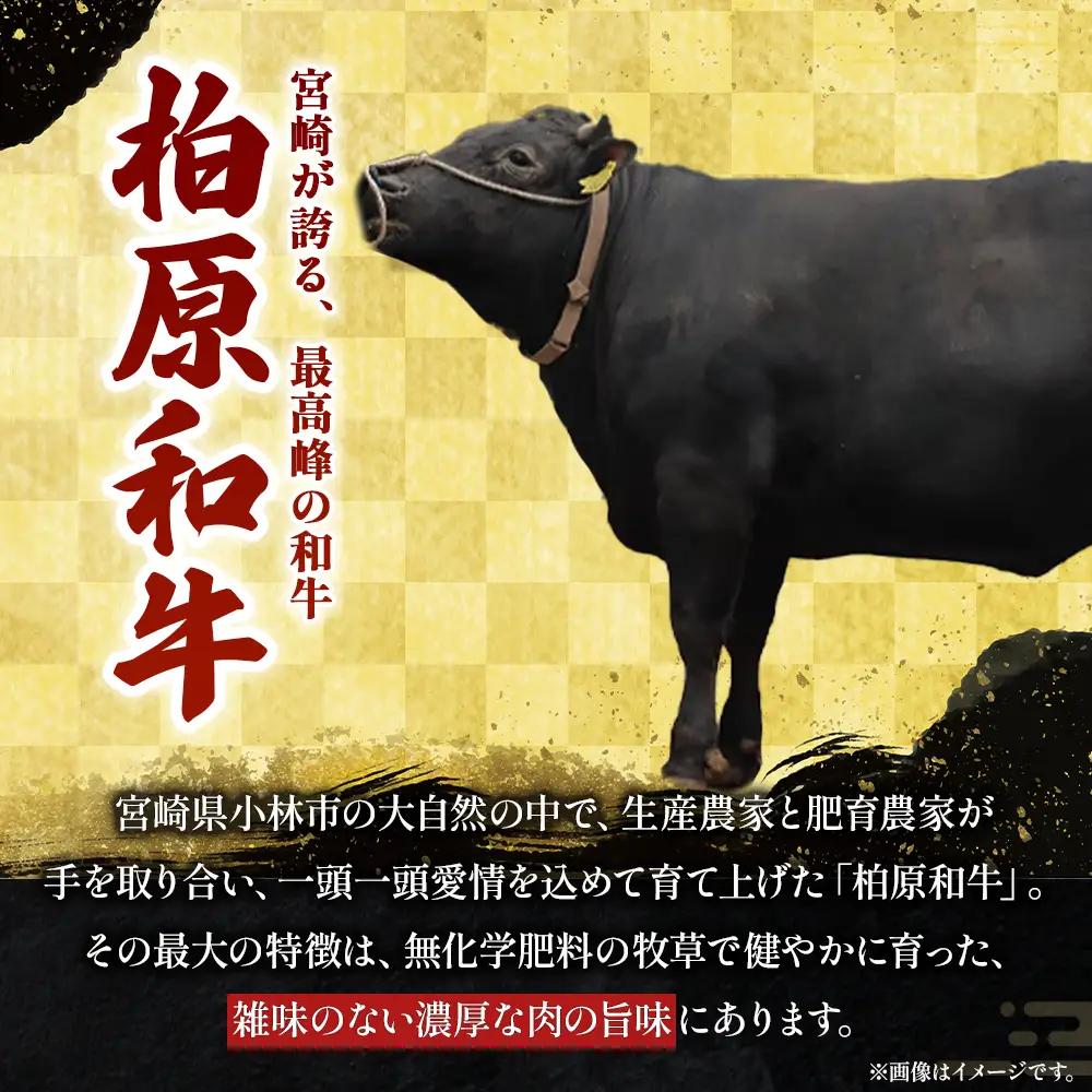 幻の和牛　「柏原和牛」　肉塊（ハンバーグ）780g（国産 黒毛和牛 宮崎牛 牛肉 ハンバーグ 冷凍 宮崎県 小林市）