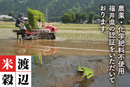 【令和7年産・新米】（玄米）【3ヶ月連続お届け】特別栽培米 コシヒカリ匠4kg × 3回 計12kg  栽培期間中農薬不使用 / コシヒカリ こしひかり 白米 お米 [F-2922_02]