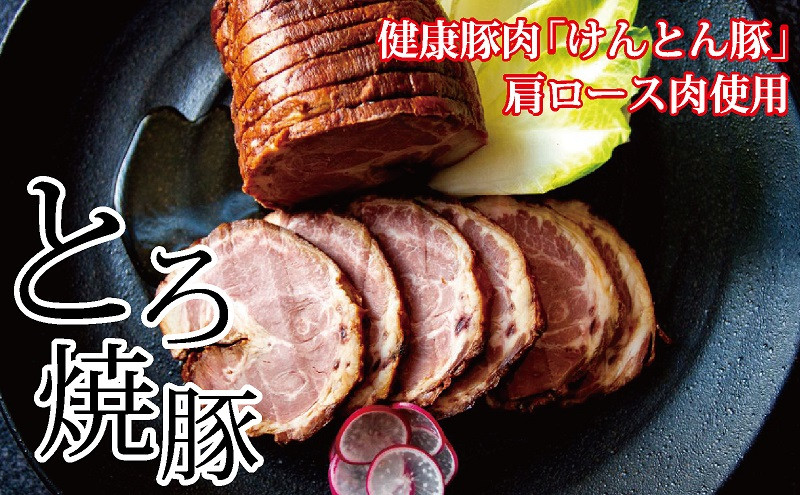 
                  【飛騨・美濃けんとん】けんとん豚肩ロース肉とろ焼豚【小分けタイプ】【1108616】
                