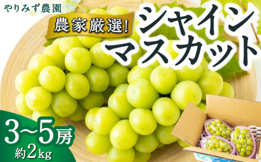 【先行予約】 やりみず農園 農家厳選！ シャインマスカット 3房から5房 （約2kg） 【2027年8月下旬～9月上旬より順次発送予定】 葡萄 ぶどう ブドウ 種無し 種なし 果物 くだもの フルーツ 果実 新鮮 フレッシュ ミネラル農産物 お取り寄せ 福岡県 うきは市 冷蔵