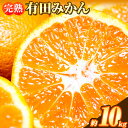 【ふるさと納税】完熟有田みかん 10kg 株式会社魚鶴商店《2024年11月下旬-2025年2月上旬頃出荷》和歌山県 日高町 有田みかん ミカン 蜜柑 フルーツ 柑橘