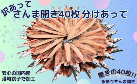 訳あって さんま開き40枚 分け合って さんま ｻﾝﾏ 秋刀魚 訳あり 開き 国産さんま 国産さんま開き 季節の味覚 銚子 海の幸 海鮮 干物 青魚 冷凍 国内加工 人気 グルメ お取り寄せ 千葉県 銚子市 ヤマニンベン                                        