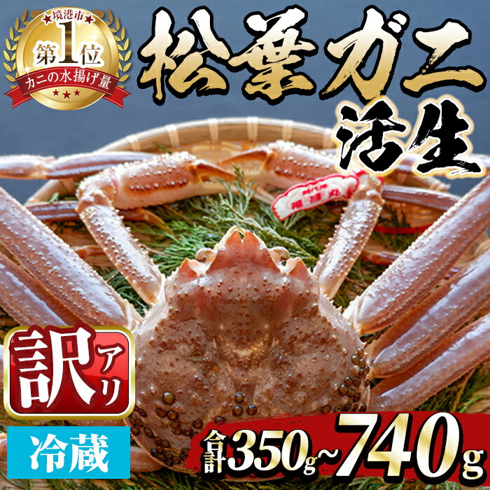 【ふるさと納税】＜選べる容量＞＜期間限定・訳あり＞＜11月中旬～3月中旬発送予定＞松葉ガニ 活生(約350～740g) 境港産 訳アリ 海鮮 かに カニ 蟹 松葉ガニ 松葉がに 松葉蟹 ずわいがに ズワイガニ 活生 海の幸 【sm-DD046】【Workplays】