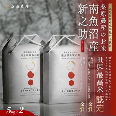 ふるさと納税 南魚沼市 R7年産　予約　ギネス世界記録「世界最高米」認定 最高級南魚沼産新之助5kg×2 桑原農産のお米