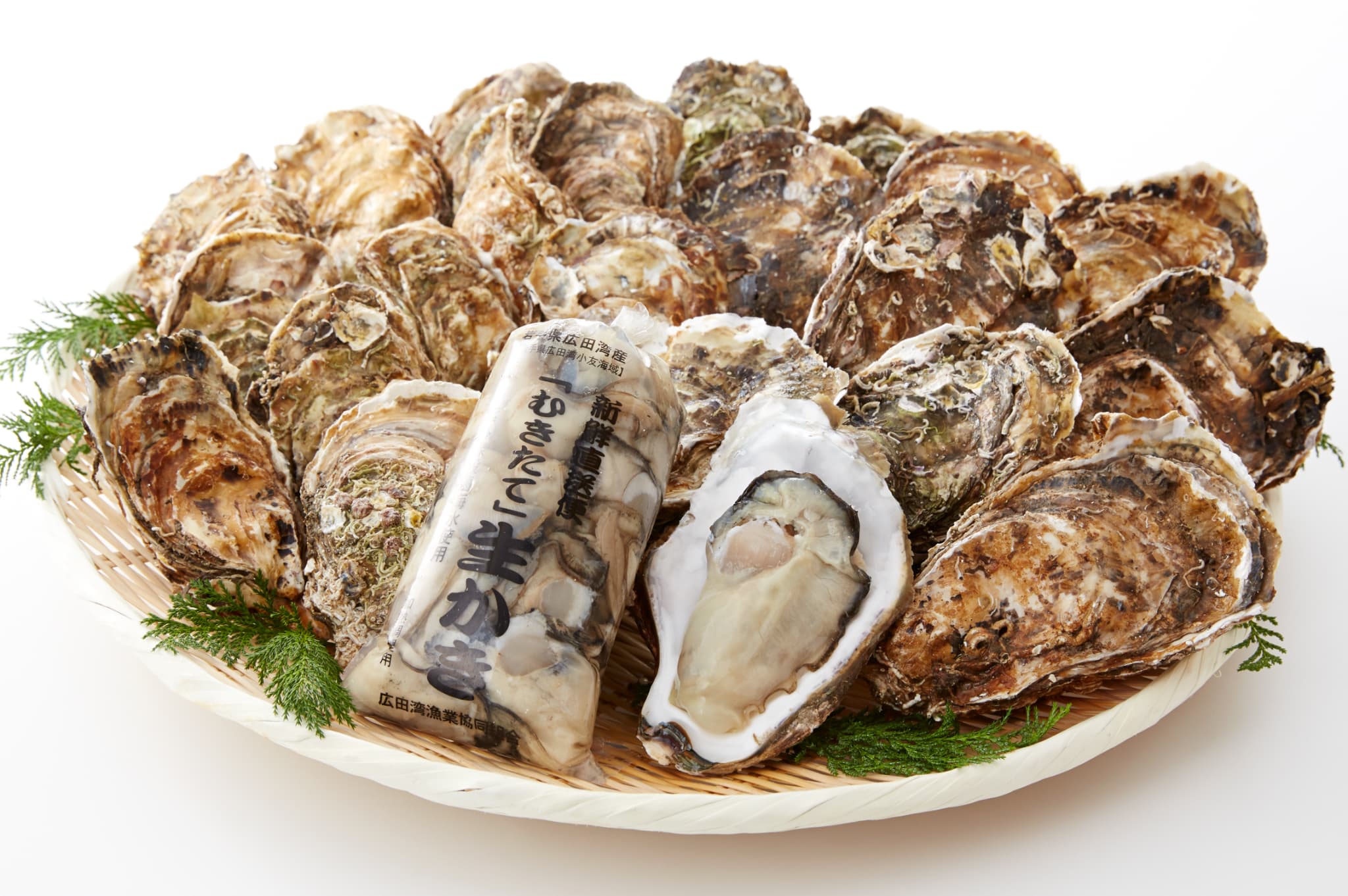 【ふるさと納税】かき小屋 気分で 牡蠣 三昧 セット 発送時期が選べる 〈 殻付き牡蠣 10個 / 殻付き牡蠣大サイズ 5個 / むき身 500g (加熱用)〉[ かき カキ 貝類 魚介類 大容量 天然 人気 浜焼き グラタン フライ 鍋 BBQ バーベキュー 三陸産 広田湾 かき小屋広田湾 ]