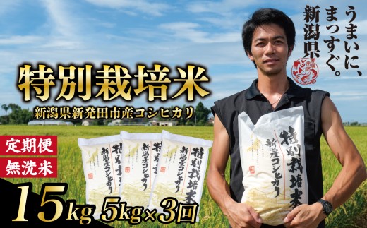 【令和7年産定期便3ヵ月】定期便 コシヒカリ 無洗米 5kg 3ヵ月 15kg 令和7年産 特別栽培米 こしひかり 米 お米 こめ 新潟米 新潟県産 新潟産 新潟 新潟県 新発田産 新発田 新発田市 斗伸 toushin041