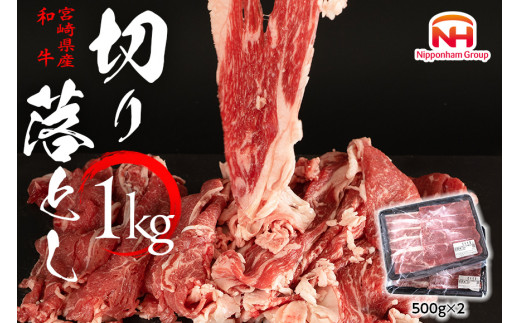 訳あり 牛肉 宮崎県産 和牛 切り落とし 500g×2p 計1kg [日本ハムマーケティング 宮崎県 日向市 452060542] 肉 牛 黒毛和牛 精肉 冷凍