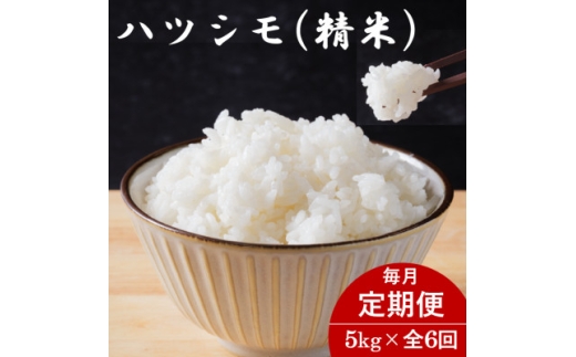 ＜毎月定期便＞岐阜県産ハツシモ(精米) 5kg全6回【4076407】