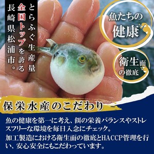 訳ありサイズ！驚きの逸品「高級とらふぐ炙りてっさ」3人前【B1-161】