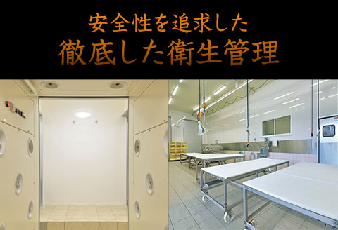 馬刺しの皿盛り(スライス) 640g  赤身400g/フタエゴ120g/コーネ120g 《30日以内に出荷予定(土日祝除く)》---oz_fjs03_30d_r7_18500_640g---