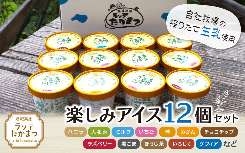 
                  ラッテたかまつ 楽しみアイス１２個セット ／ バニラ 大和茶 ミルク 苺 ブルーベリー 黒ごま【latt005】
                