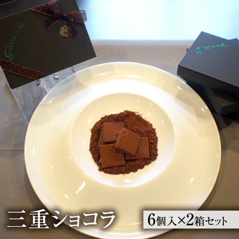 【ふるさと納税】シャンピニオン生ショコラ 2箱セット [ 生チョコレート チョコレート チョコ キノコ 天然オオイチョウタケ スイーツ お菓子 お酒のおとも ご褒美 ]　スイーツ・お菓子・チョコレート