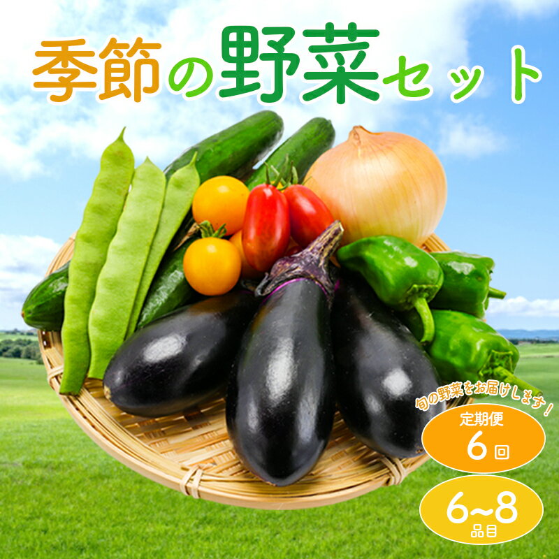 【ふるさと納税】 【定期便6回】野菜 セット 詰め合わせ やさい 旬 季節 キャベツ 玉ねぎ きゅうり なす トマト じゃがいも とうもろこし ブロッコリー アスパラガス 大根 香川県 丸亀市