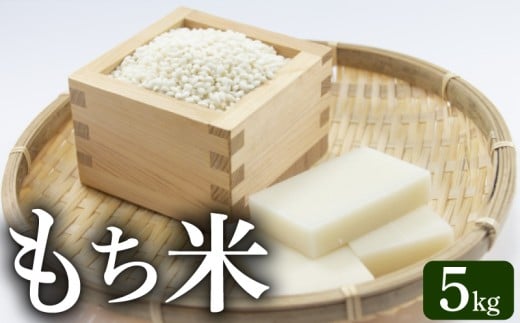 もち米 5kg
