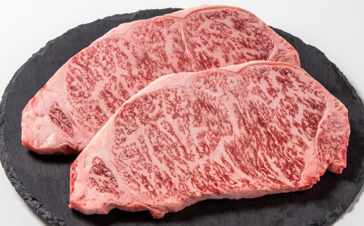 【11月発送】宮崎牛ロースステーキ2枚 計500g 牛肉 ステーキ 高級部位 ブランド牛 ミヤチク 内閣総理大臣賞4連覇<1.8-21>● 2枚 合計500g