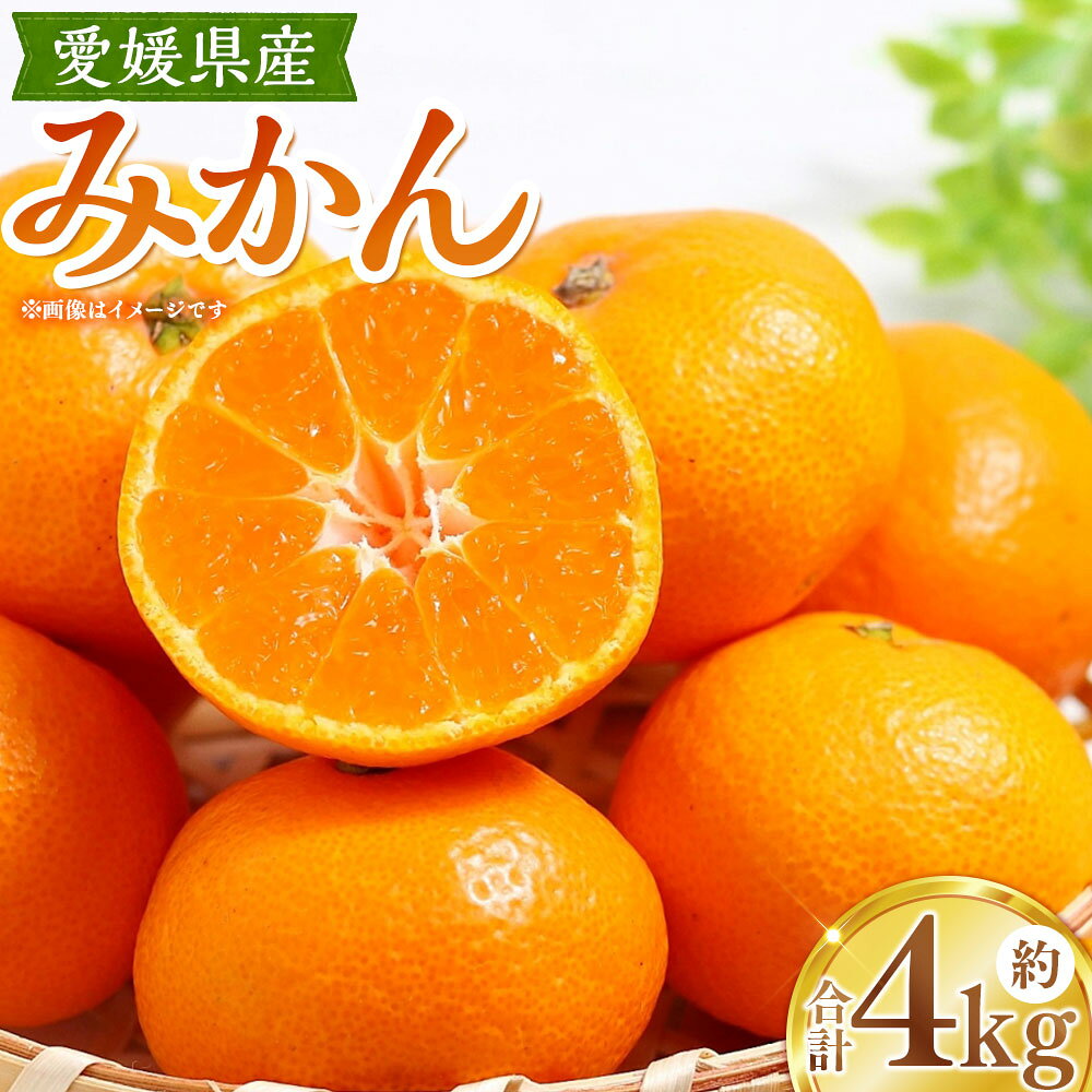 【ふるさと納税】 みかん 約4kg 3L～S ミカン 蜜柑 柑橘 かんきつ フルーツ くだもの 果物 果実 デザート 愛媛県産 国産 愛媛県 送料無料 【2026年11月上旬～12月下旬発送予定】（1119）