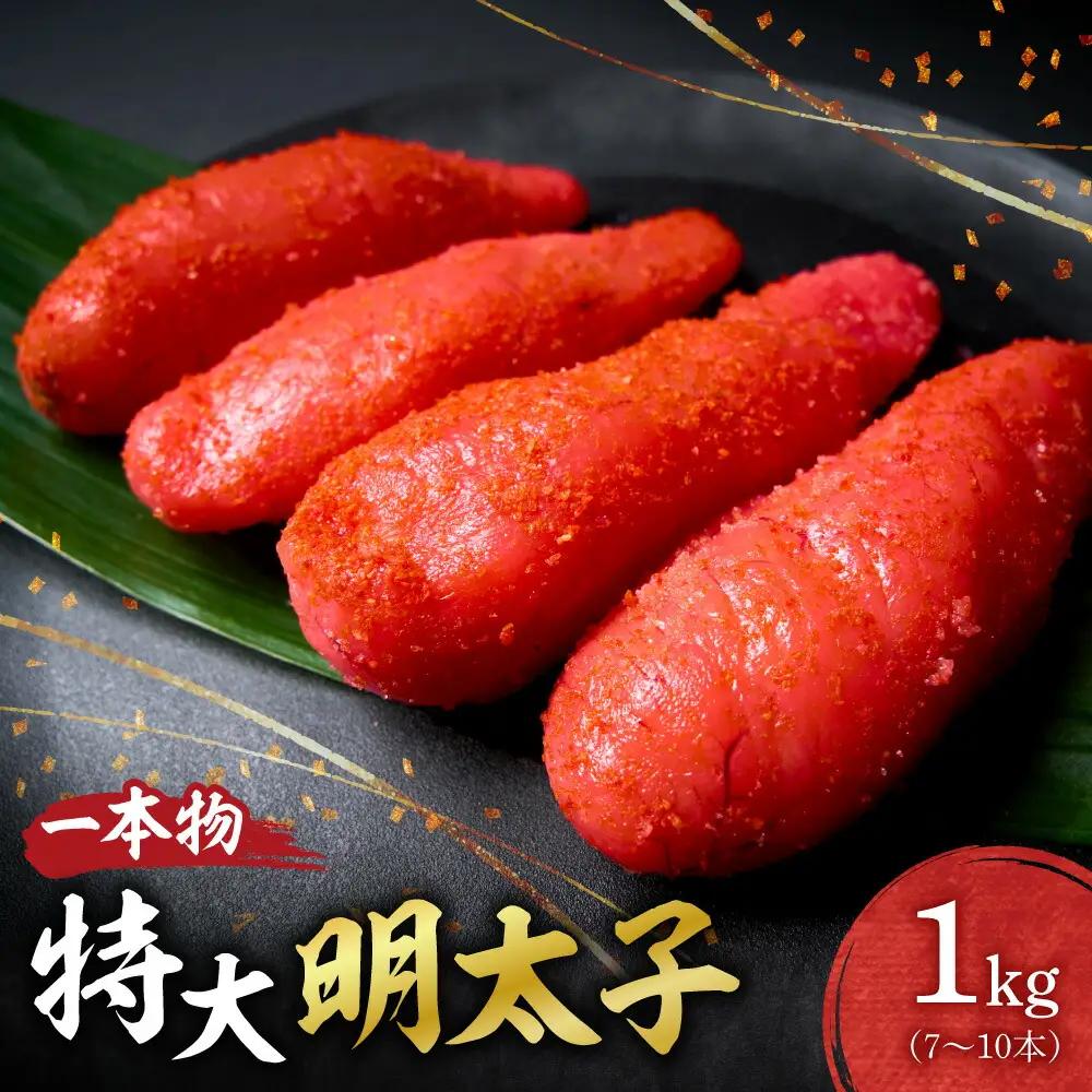 特大一本物明太子 ｜ 明太子 1kg 魚卵 北海道 札幌市