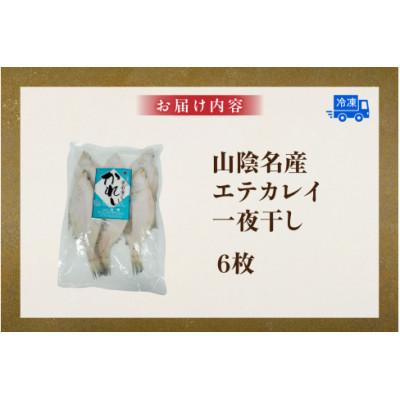 ふるさと納税 香美町 山陰名産エテカレイ一夜干し 6枚 |  | 03