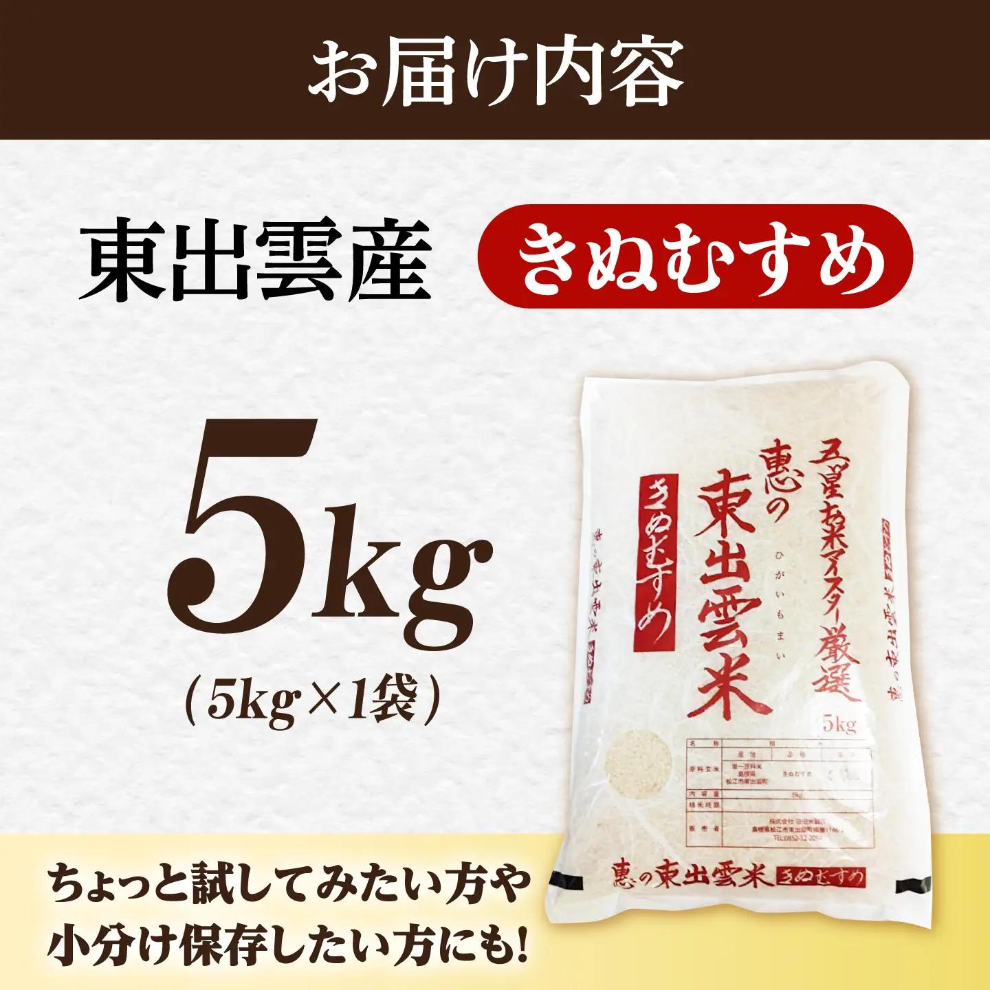 【精米】きぬむすめ5kg 白米 5kg(5キロ×1) ブランド米 [ALBU017]お米