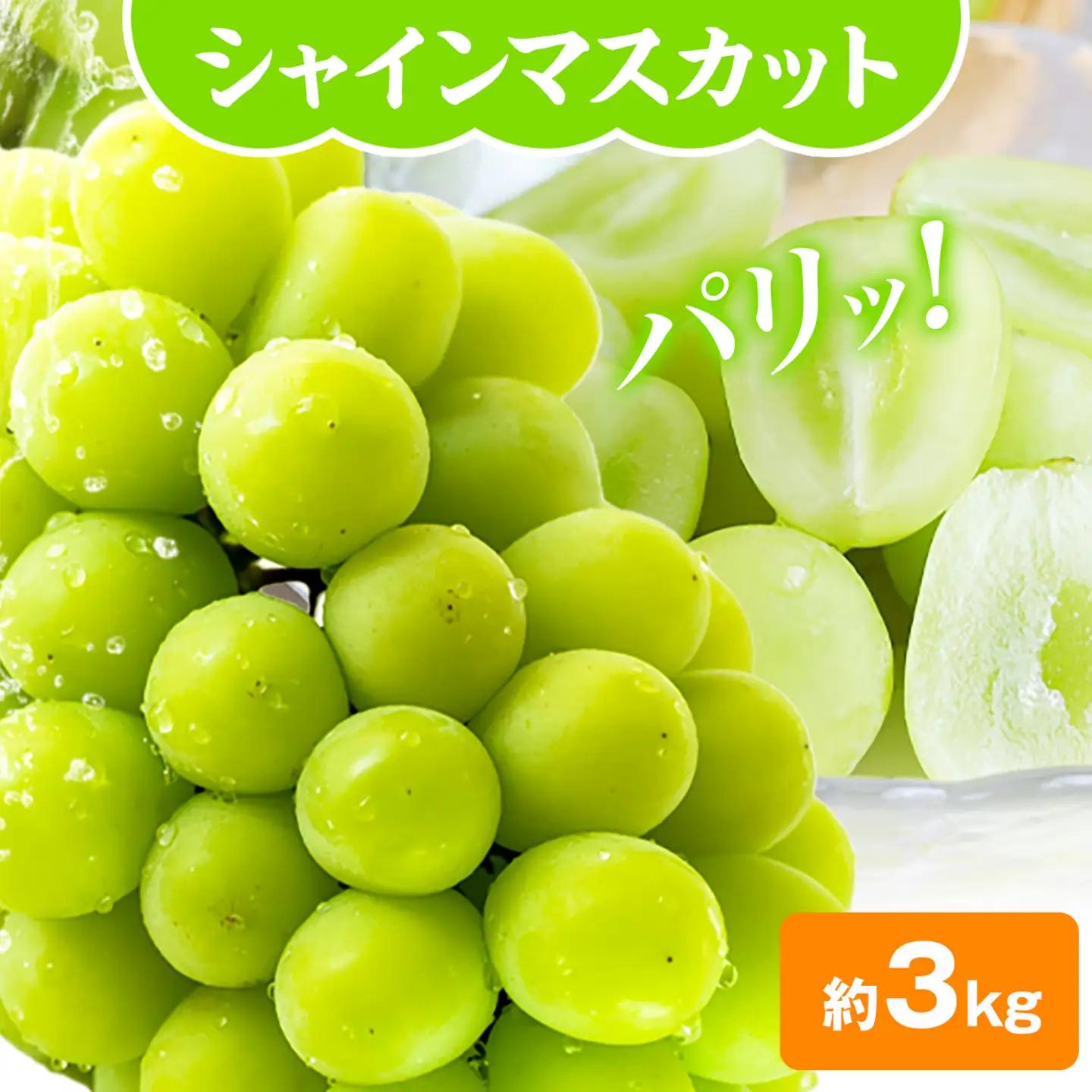 シャインマスカット 3kg (4-6房) 水代果樹園《8月中旬-9月下旬頃出荷》 果物 マスカット シャインマスカット 葡萄 ぶどう