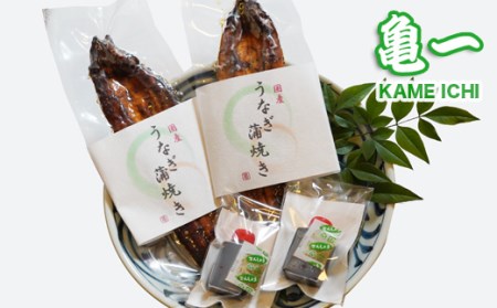 鰻 蒲焼 2尾 240g うなぎ 愛南 鰻