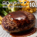 【ふるさと納税】白金豚と黒ぶだう牛 ハンバーグ・味噌deハンバーグ 10個 セット 豚肉 牛肉 ブランド肉