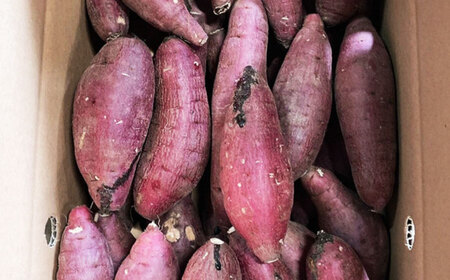さつまいも 紅はるか 約5kg【株式会社 アグリファーム未来】[ZDN002]