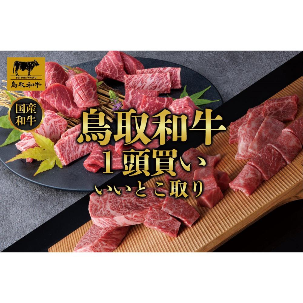【ふるさと納税】鳥取和牛1頭買い いいとこ取り 12か月定期便 TB4 | 肉 お肉 にく 食品 鳥取県産 人気 おすすめ 送料無料 ギフト