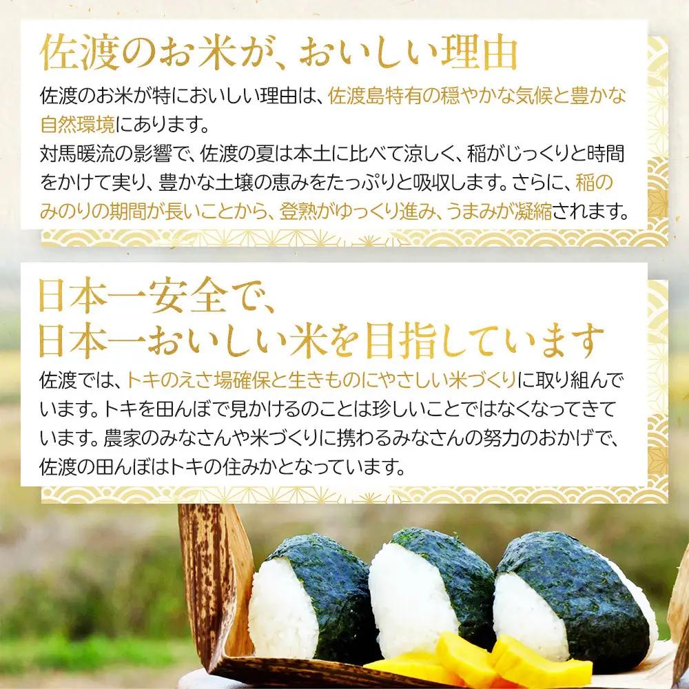 【12ヶ月連続お届け】無洗米佐渡産コシヒカリ 10kg（5kg×2）